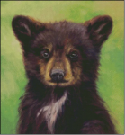 (image for) Baby Bear